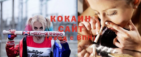 тгк Новозыбков