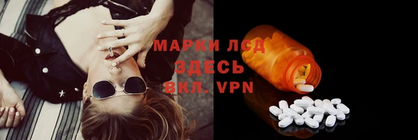 тгк Новозыбков