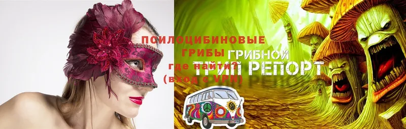 Псилоцибиновые грибы ЛСД  Нижний Тагил 