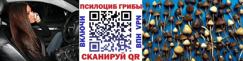 Псилоцибиновые грибы Psilocybe  kraken онион  Нижний Тагил  купить наркотики сайты 