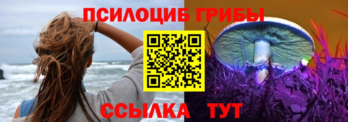 Купить наркоту  ГАШ  АМФЕТАМИН   Меф кристаллы  Кокаин  Вход с VPN  МДМА  А ПВП СК   Нижний Тагил  Канабис 